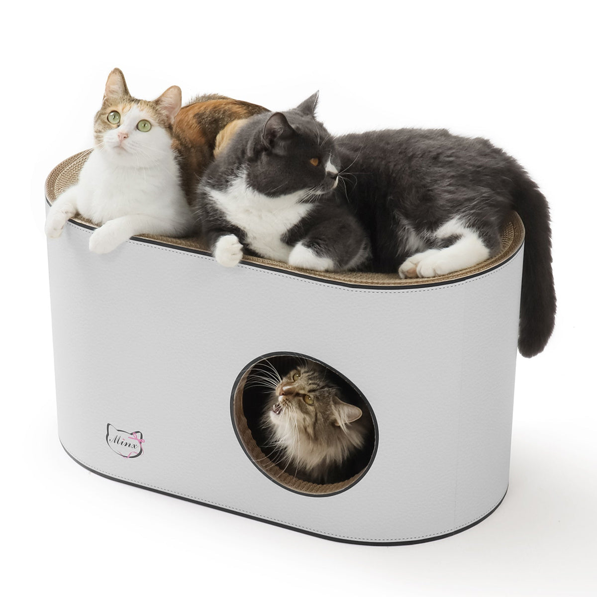 Cat Beds