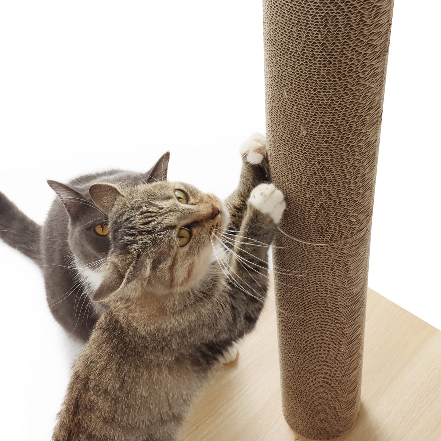 Minx Alto Cat Scratcher Deluxe Timber And Recycled Cardboard Refillable Scratching Post For Cats