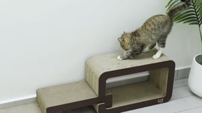 Minx Scala Deluxe Multi Level Staircase Platform Recycled Cardboard Scratcher For Cats