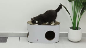 Minx Curva Casa Premium Curved House Recycled Cardboard Scratcher For Cats