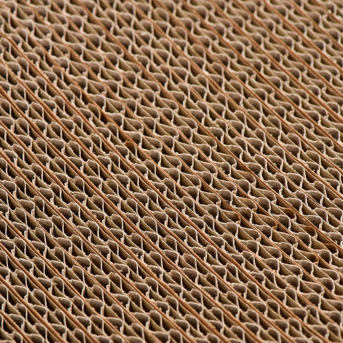 Minx Infinity Deluxe Scratcher Lounging Bed
