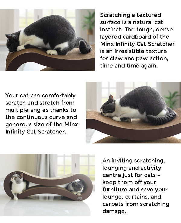 Minx Infinity Deluxe Scratcher Lounging Bed