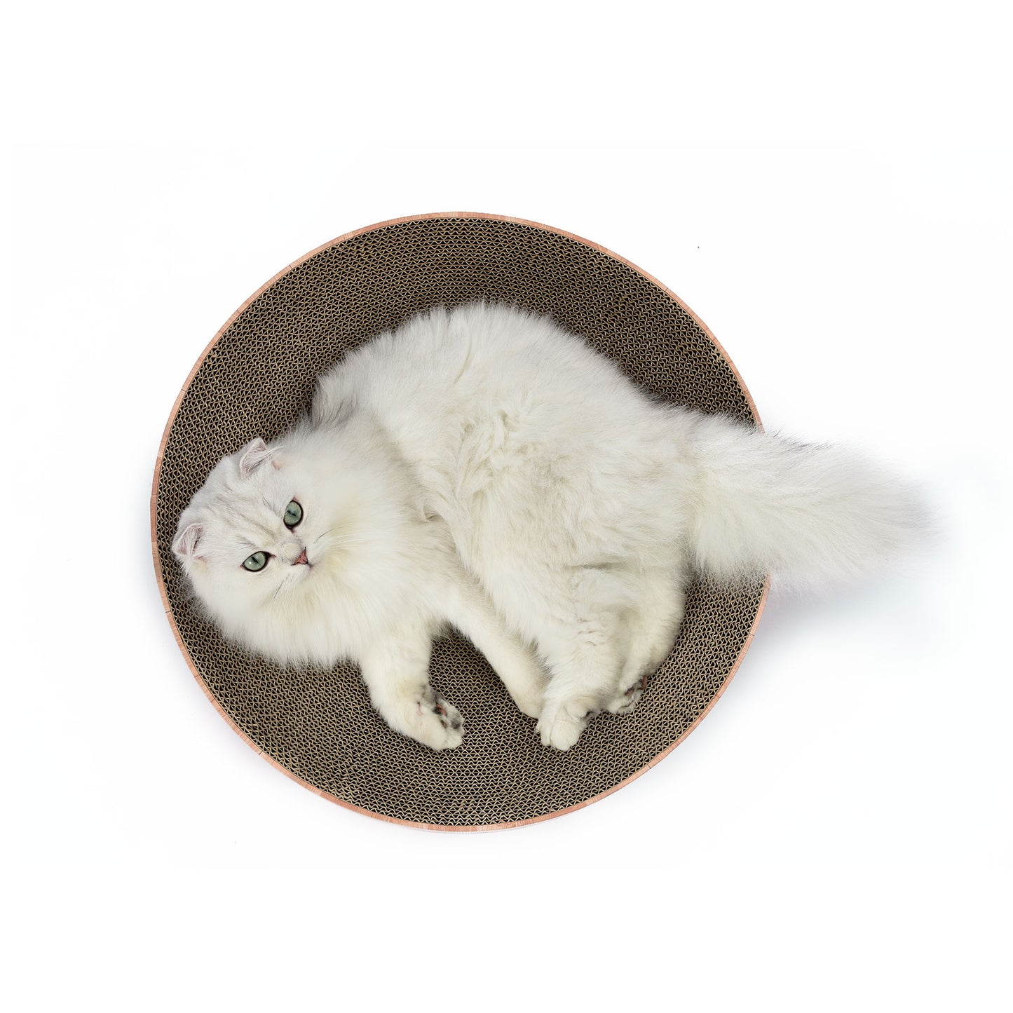 Minx Catino Cat Scratcher Lounging Bed For Cats